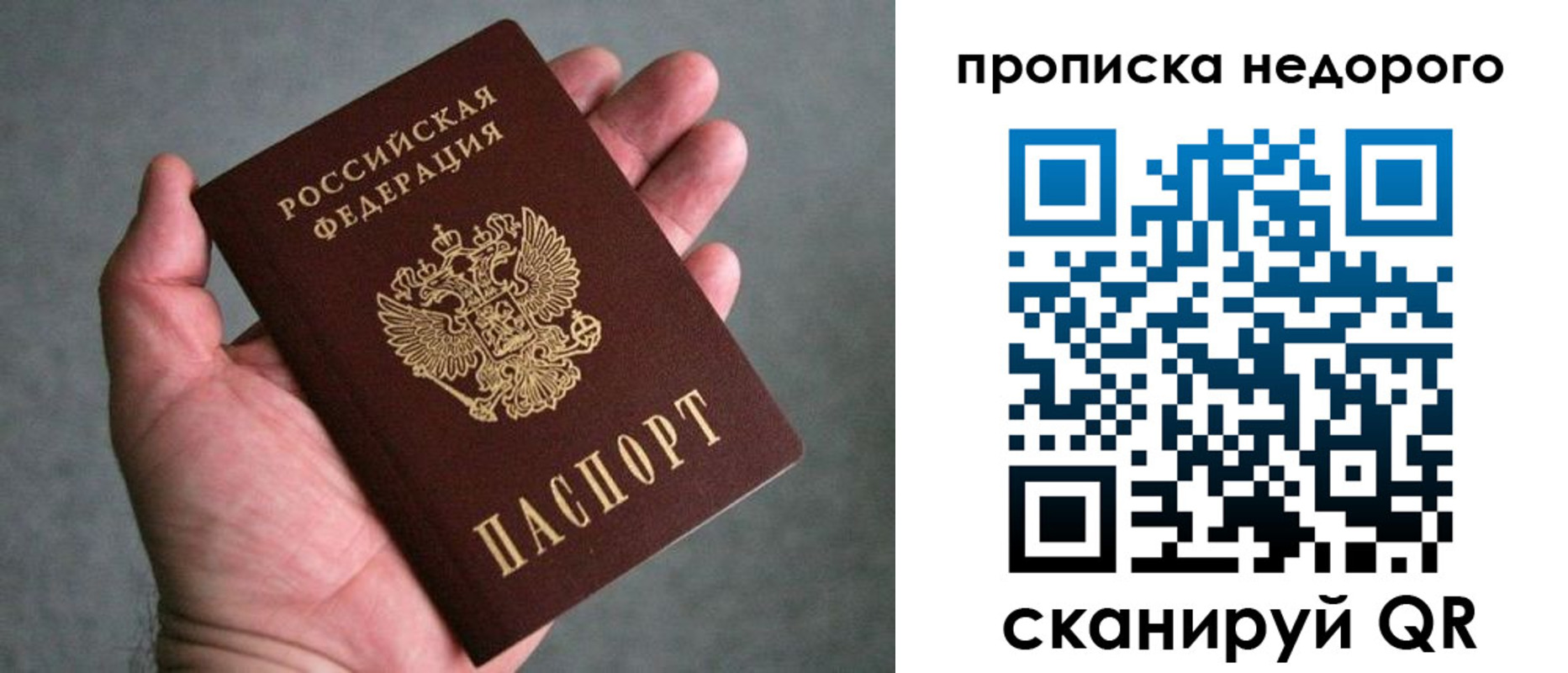 прописка поиск в Новочеркасске